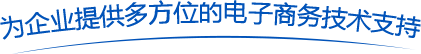 潍坊网站优化公司