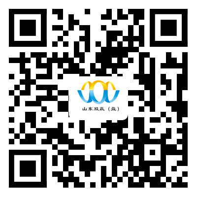潍坊网站优化公司